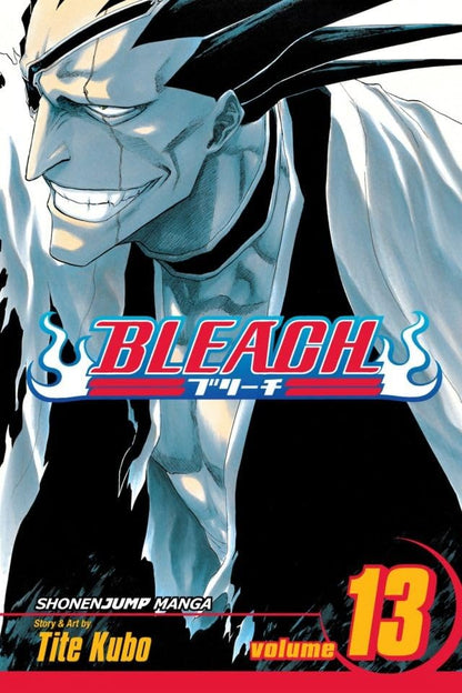 Bleach Box Set 1 (Vol. 1-21)