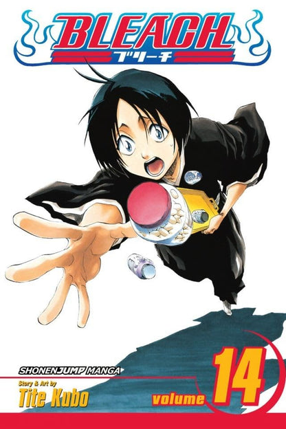 Bleach Box Set 1 (Vol. 1-21)