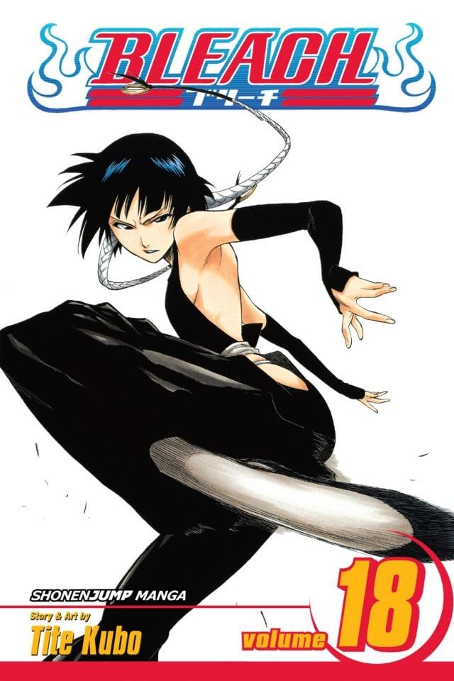 Bleach Box Set 1 (Vol. 1-21)