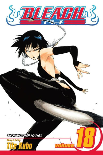 Bleach Box Set 1 (Vol. 1-21)