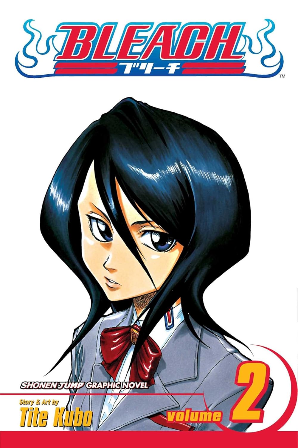 Bleach Box Set 1 (Vol. 1-21)