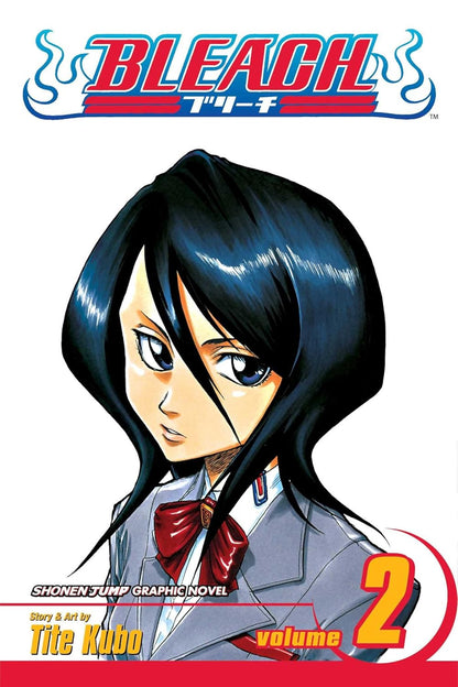 Bleach Box Set 1 (Vol. 1-21)