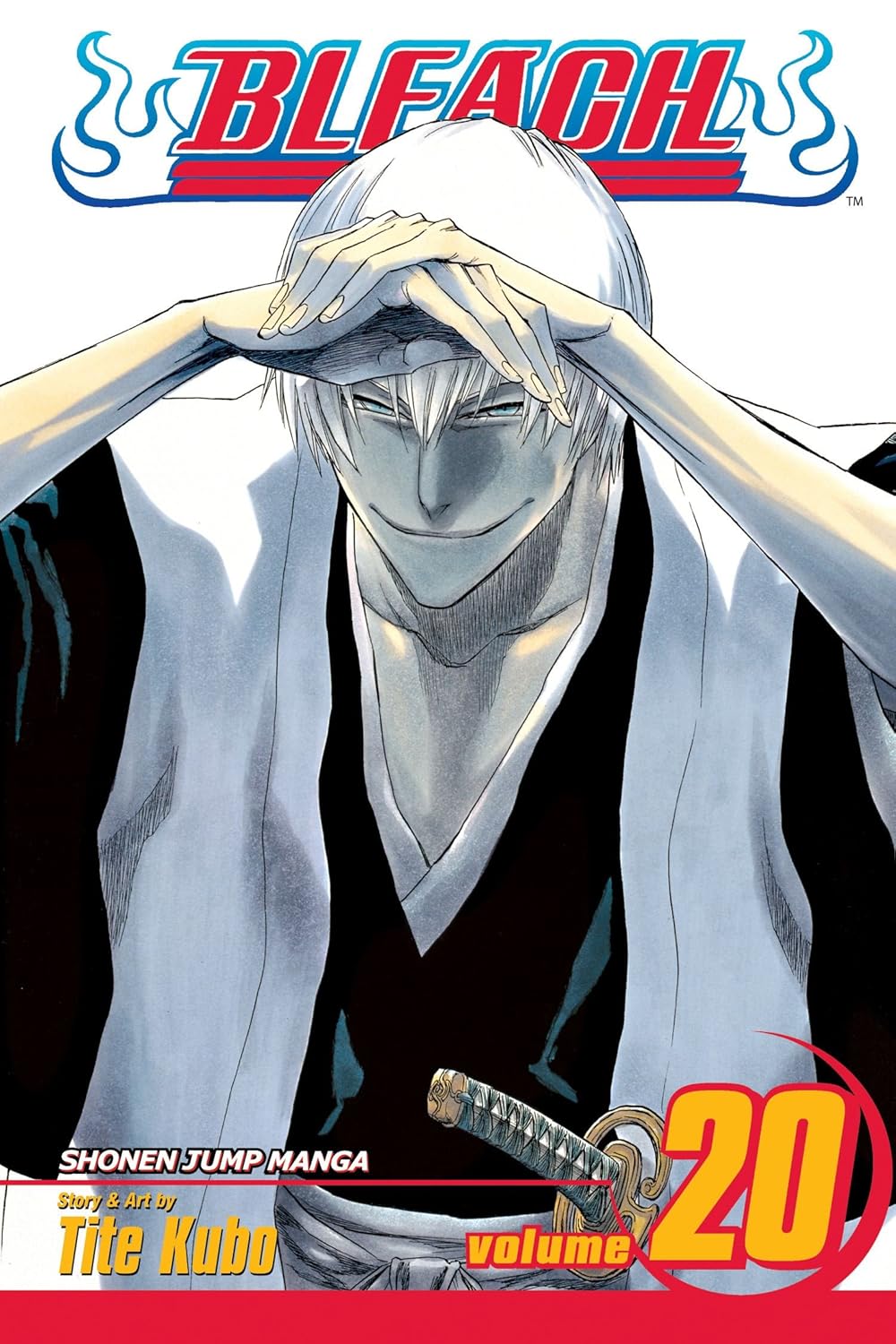 Bleach Box Set 1 (Vol. 1-21)