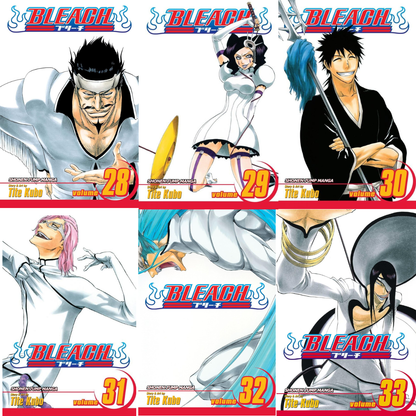 Bleach Box Set 2 (Vol. 22-48)