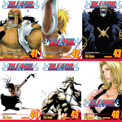 Bleach Box Set 2 (Vol. 22-48)