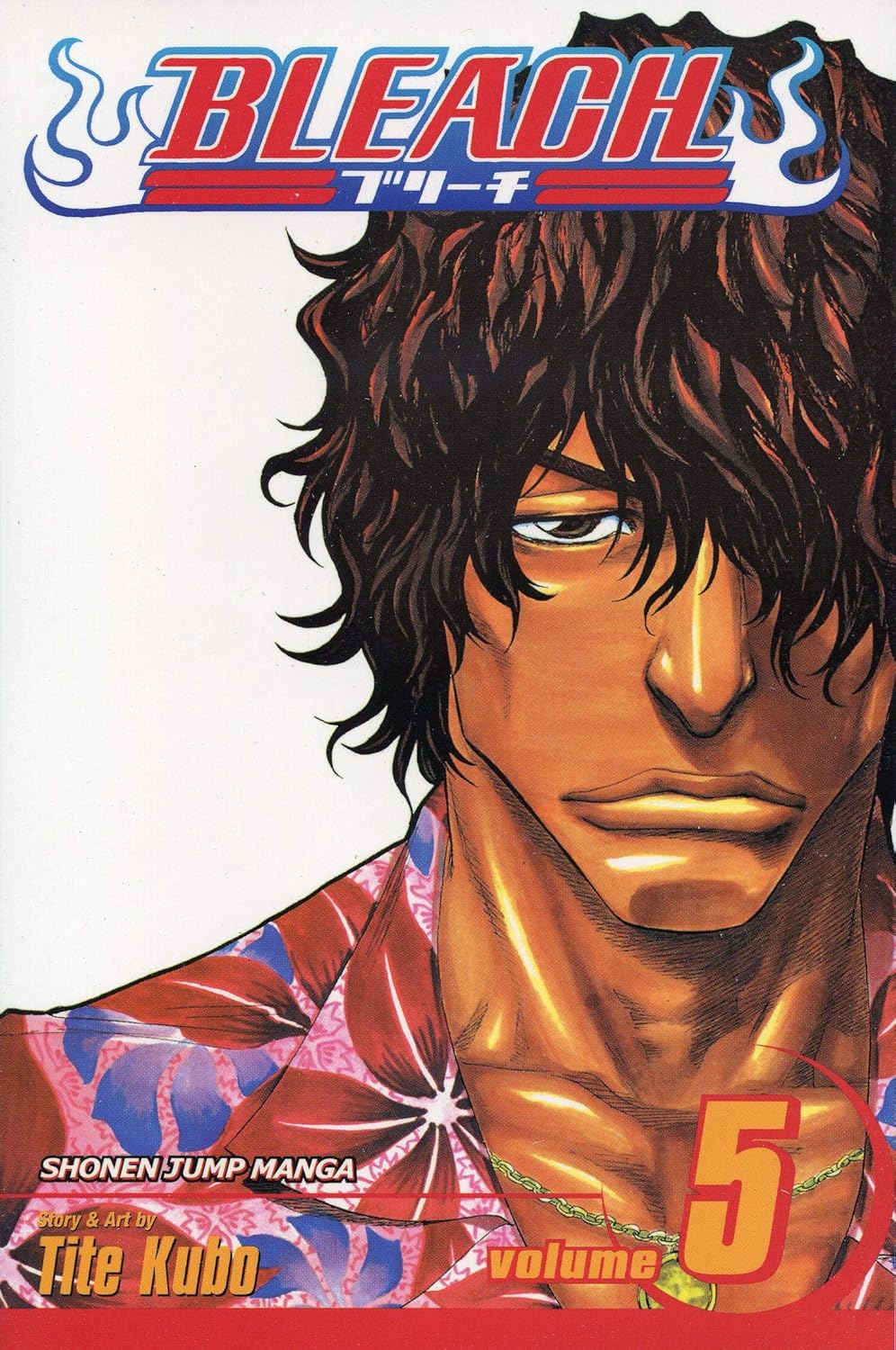 Bleach Box Set 1 (Vol. 1-21)