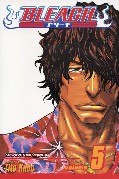 Bleach Box Set 1 (Vol. 1-21)