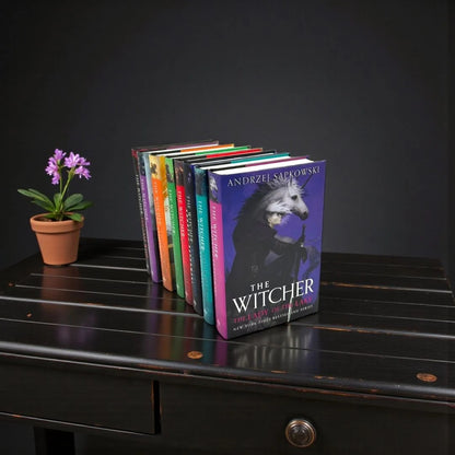 The Witcher Eight-Book Illustrated Collection Set by Andrzej Sapkowski (Complete Fantasy Series)